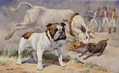 Antiguo Bulldog Ingles